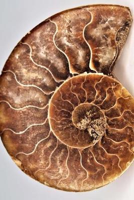 Book cover for Blank Journal - Fibonacci Ammonite Shell