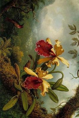 Book cover for Martin Johnson Heade Orchids and Hummingbird Romanticism