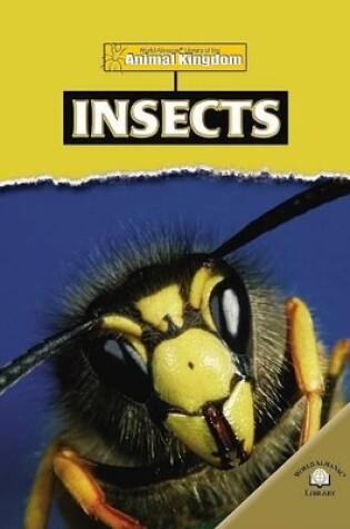 Cover of Insects