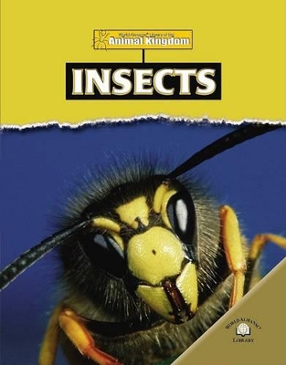 Book cover for Insects