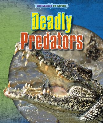 Cover of Deadly Predators