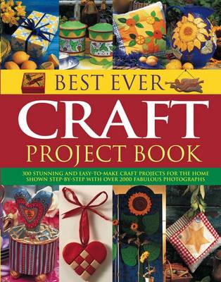 Book cover for Best Ever Craft Project Book