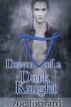 Book cover for Dawn of a Dark Knight