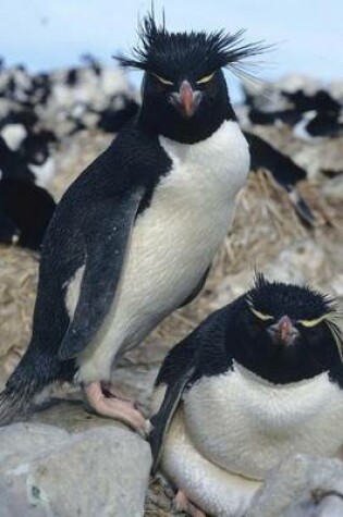 Cover of Rock Hopper Penguins (for the Love of Animals)