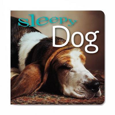 Book cover for Sleepy Dog