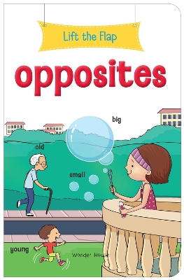 Book cover for Lift the Flap Opposites Early Learning Novelty for Children