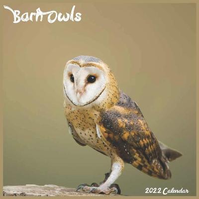 Cover of Barn Owls Calendar 2022