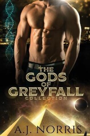 Cover of The Gods of Greyfall Collection