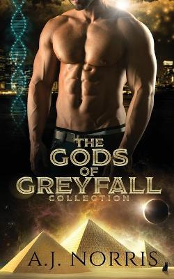 Book cover for The Gods of Greyfall Collection