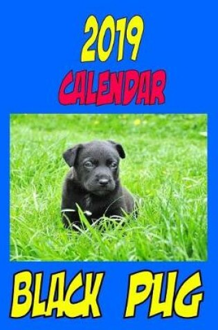 Cover of 2019 Calendar Black Pug