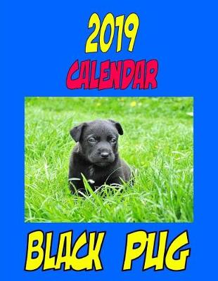 Book cover for 2019 Calendar Black Pug