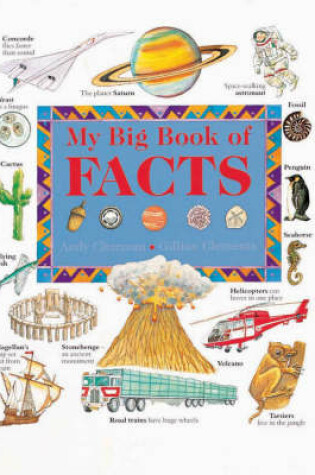 Cover of My Big Book of Facts