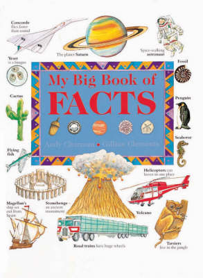 Book cover for My Big Book of Facts