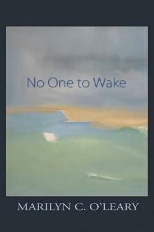 Cover of No One to Wake