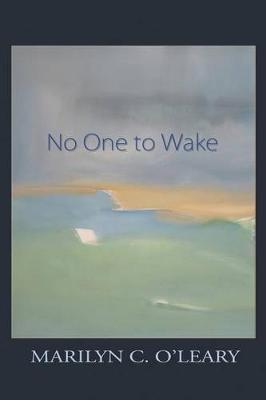 Book cover for No One to Wake