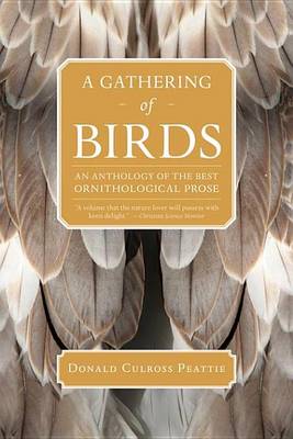 Book cover for A Gathering of Birds