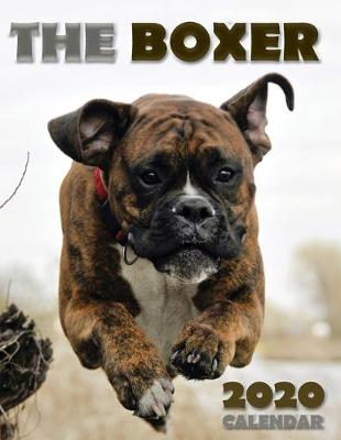 Cover of The Boxer 2020 Calendar
