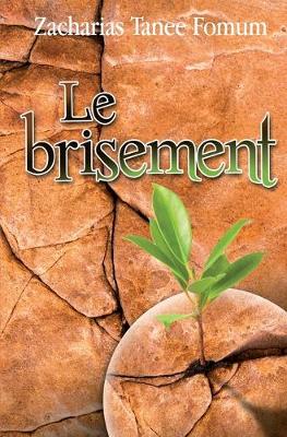Book cover for Le Brisement