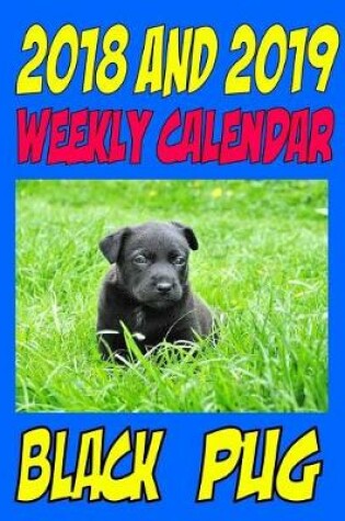 Cover of 2018 and 2019 Weekly Calendar Black Pug