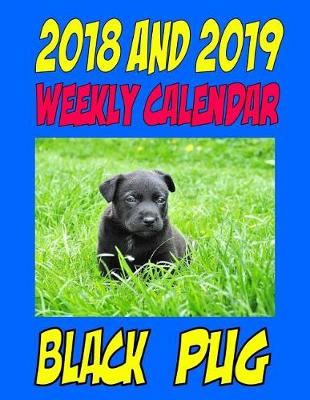 Book cover for 2018 and 2019 Weekly Calendar Black Pug