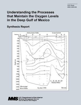 Book cover for Understanding the Processes that Maintain the Oxygen Levels in the Deep Gulf of Mexico