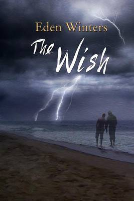 Book cover for The Wish