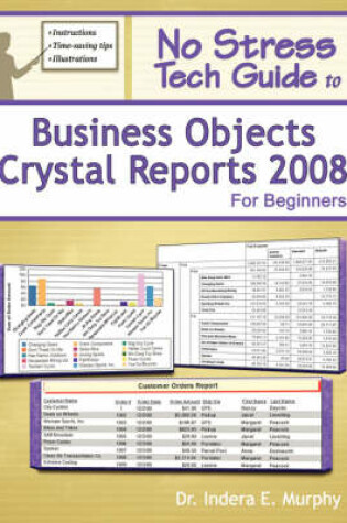 Cover of No Stress Tech Guide To Business Objects Crystal Reports 2008 For Beginners