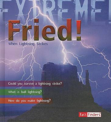 Book cover for Fried!