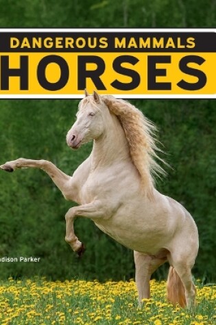 Cover of Horses