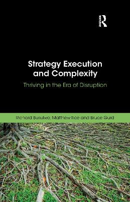 Book cover for Strategy Execution and Complexity