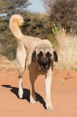 Cover of Anatolian Shepherd Dog