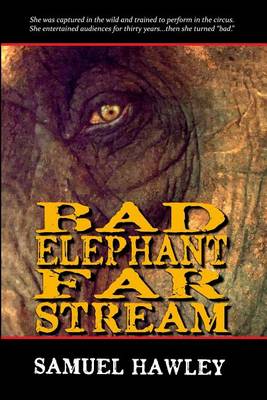 Book cover for Bad Elephant Far Stream