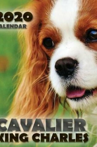Cover of Cavalier King Charles 2020 Calendar