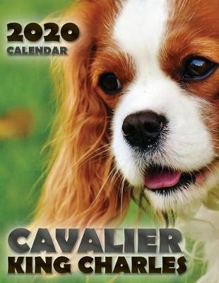 Book cover for Cavalier King Charles 2020 Calendar