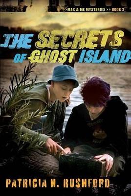 Book cover for The Secrets of Ghost Island
