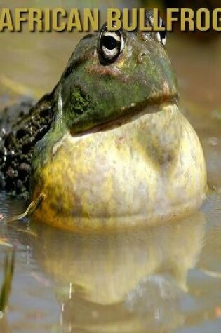 Cover of African Bullfrog