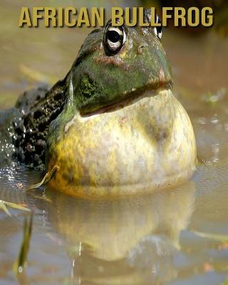 Book cover for African Bullfrog