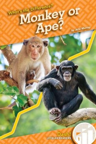 Cover of Monkey or Ape?