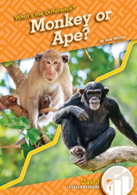 Cover of Monkey or Ape?