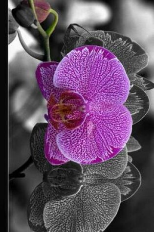 Cover of Phalaenopsis Purple Orchid, for the Love of Flowers