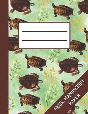 Book cover for Turtle