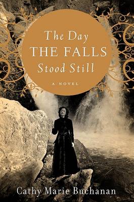 Book cover for The Day the Falls Stood Still