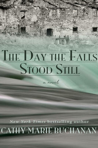 Cover of The Day The Falls Stood Still