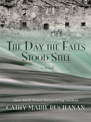 The Day The Falls Stood Still by Cathy Marie Buchanan