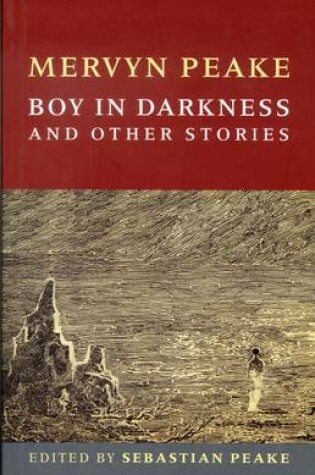 Cover of Boy In Darkness