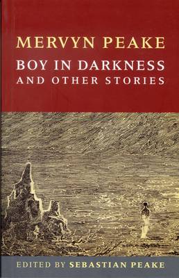 Book cover for Boy In Darkness