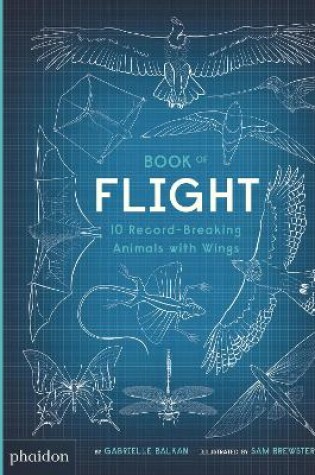 Cover of Book of Flight