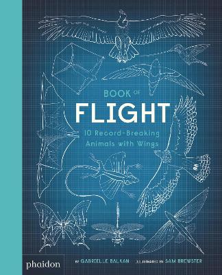Book cover for Book of Flight