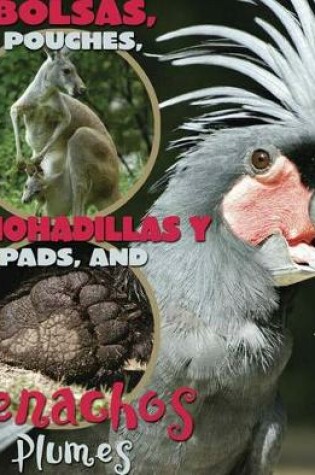 Cover of Bolsas, Almohadillas Y Penachos