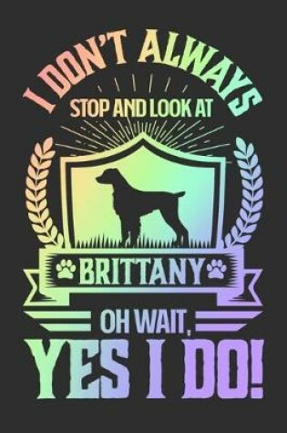 Cover of I Don't Always Stop and Look At Brittany OH Wait, Yes I Do!